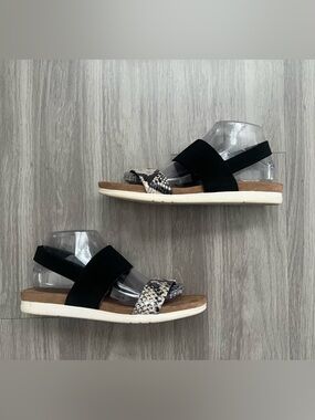 Aerosoles Black Snake Print Comfort Slide Sandals Women’s Size 8.5 Memory Foam